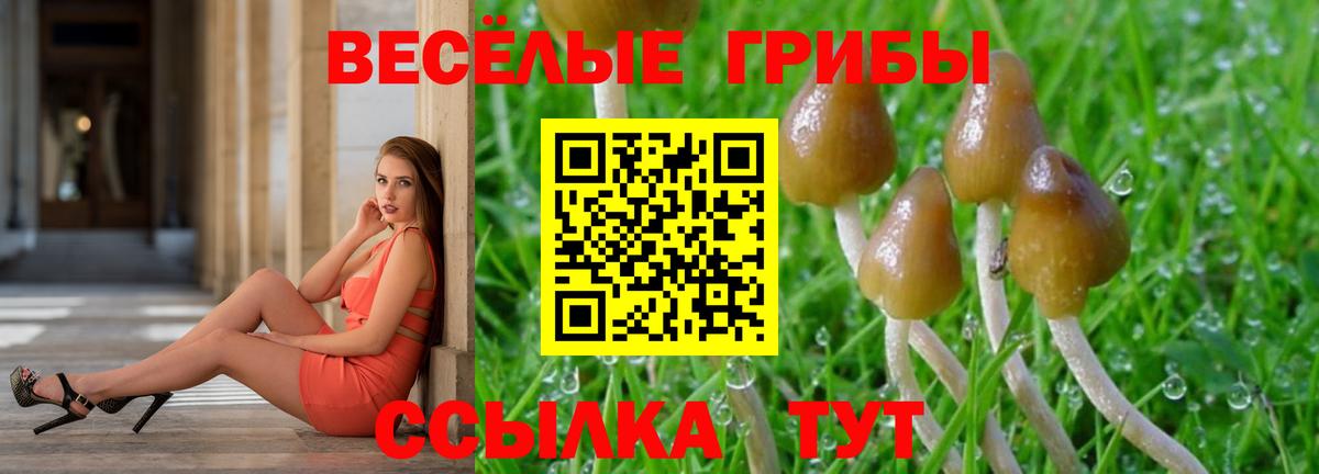 Галлюциногенные грибы ЛСД  Вход с VPN  Мончегорск  Галлюциногенные грибы Psilocybine cubensis 