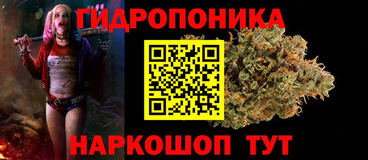 Марихуана семена  Бошки Шишки индика  Вход с VPN  Мончегорск  Каннабис сатива  МАРИХУАНА Ganja 